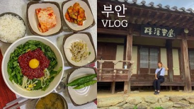 [부안여행VLOG] 1박2일간 부안의 숨겨진 맛집&카페&핫플 찾아보기🔭/ 청호수 마을 떡 만들기 체험👩‍🍳/ 슬지제빵소/ 채석강/ 주산식당/ 곰소 아리랑 식당