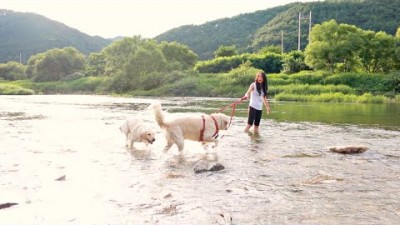 넓은 계곡 과 여유로운 애견동반계곡 캠핑 l 혼자 사용한 계곡과 캠핑장