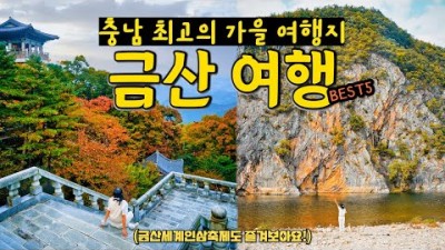 충남 최고의 가을 여행지, 금산 가볼만한곳 베스트 5