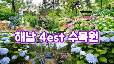 땅끝의 보석 해남 4est 수목원 | 국내 최대 규모 수국축제 | 해남포레스트 수목원 수국 개화 상황 | The largest hydrangea festival in Korea